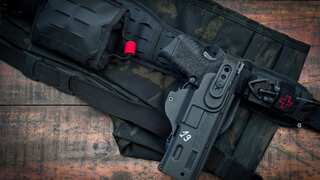 US man faces jail for attempting to create hybrid sheep from endangered species