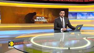 Brazil's Roraima state swept by wildfires