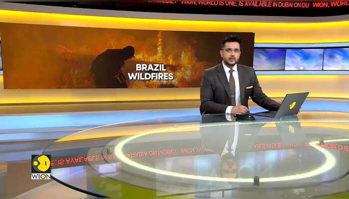 Brazil's Roraima state swept by wildfires