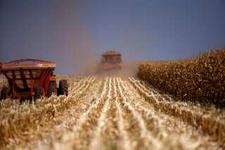 Brazil shifts focus to new markets amid EU deadlock