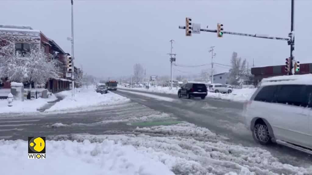 Wildfires engulf Chile's Valparaiso | Climate change degrading coral reefs