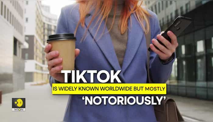 From India to Pakistan: List of countries that have banned TikTok