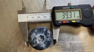 World's biggest blueberry, as big as a ping-pong ball, grown in Australian farm
