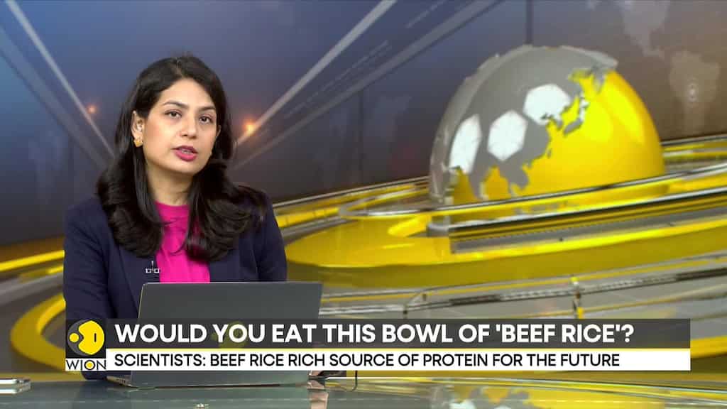 South Korean scientists develop 'beef rice' as source of protein for the future
