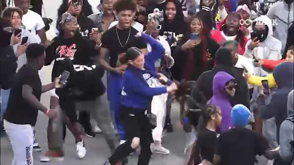 Watch: Mob of 200 juveniles cheers as fistfight breaks out in California shopping centre