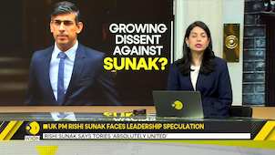 UK PM Rishi Sunak faces leadership speculation, says 'Tories absolutely united'
