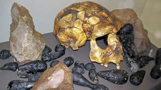 Climate change reduced ancient humans to mere 1,300 people some 900,000 years ago