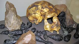Climate change reduced ancient humans to mere 1,300 people some 900,000 years ago