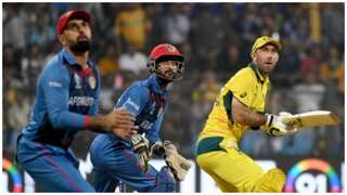 Cricket Australia postpones T20I series vs Afghanistan citing concerns over women's rights in country