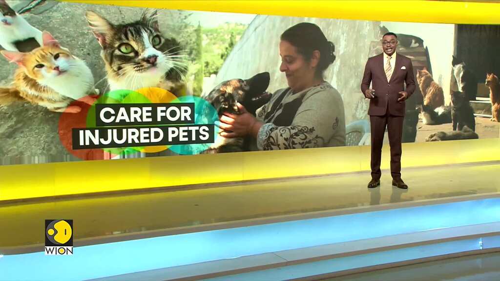 Tunisian devotes her life to the care of injured pets