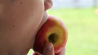 City dwellers are gradually losing ability to digest plants, says study