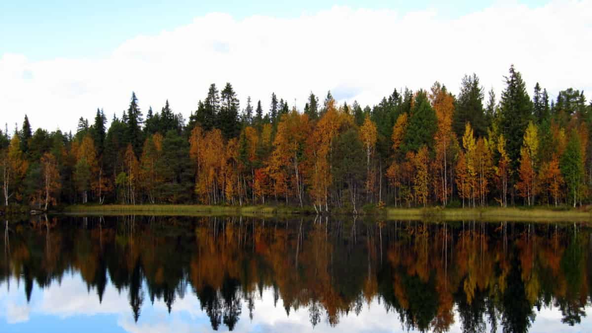 World's happiest countries: Finland wears the crown for seventh time, India at 126th position World's happiest countries: Finland wears the crown for seventh time, India at 126th position