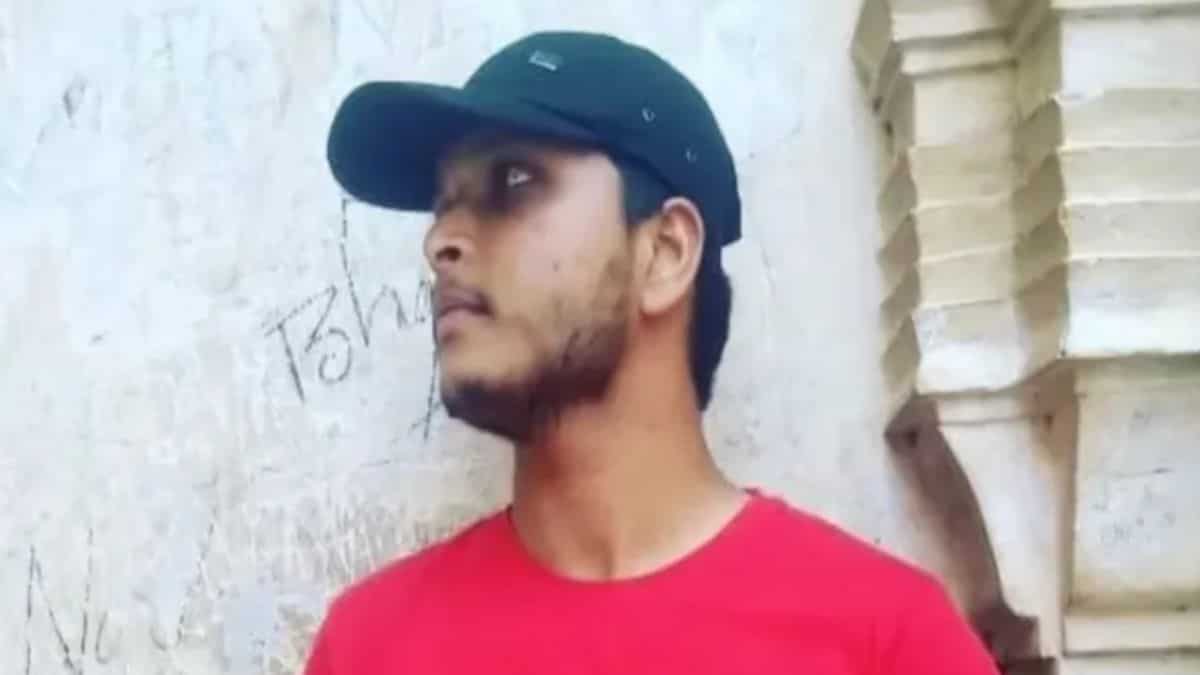 Indian student goes missing in US, family seeks govt's help after getting ransom call