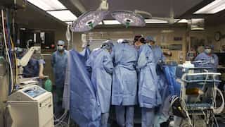 In a first, surgeons successfully transplant pig kidney to living patient