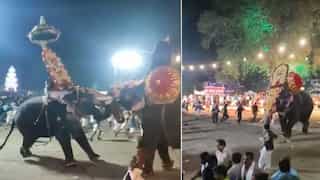 WATCH: Fully decorated Kerala temple elephant goes berserk upon spotting another tusker