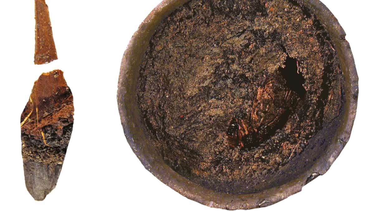 Bronze age dinner preserved, Must Farm reveals ancient culinary secrets 2,850 years later Bronze age dinner preserved, Must Farm reveals ancient culinary secrets 2,850 years later