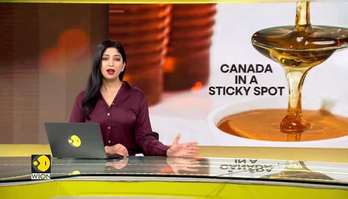 Canada’s maple syrup production hits 5-year low