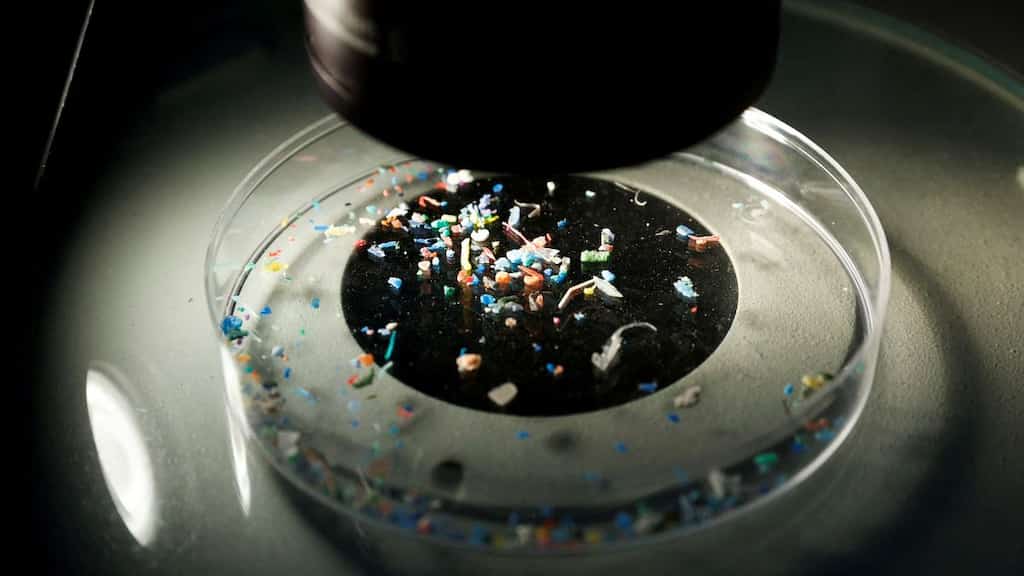 Microplastics found in soil dating back to ancient times in shocking discovery