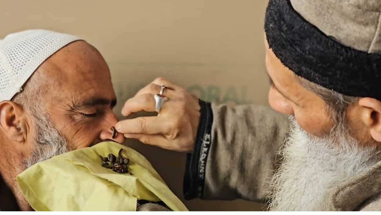 Ancient Egyptian leech therapy still popular in Kashmir Valley, demand soars during Navroz