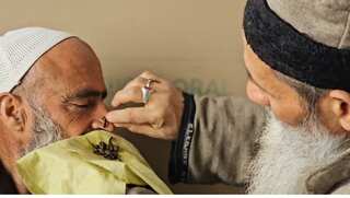 Ancient Egyptian leech therapy still popular in Kashmir Valley, demand soars during Navroz