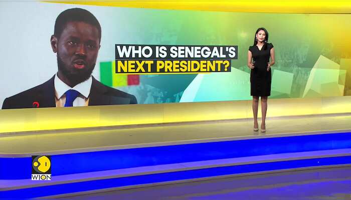 Will change of guard bring change in Senegal? | Story of Senegal's next President