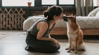 We are the infectors: Humans pass on viruses to animals twice than the other way around!