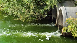 Spills of raw sewage into England’s rivers and seas doubled in 2023