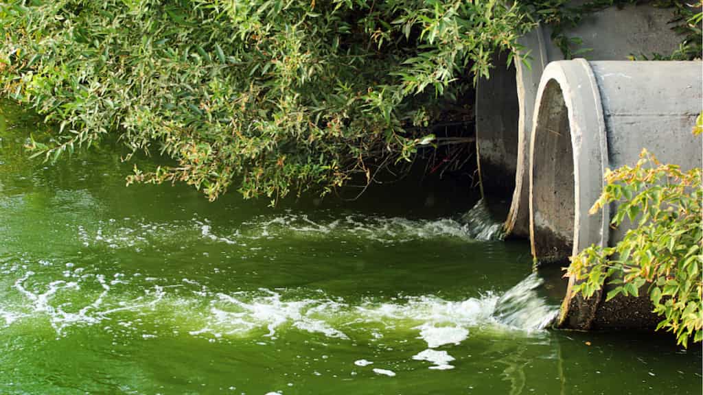 Spills of raw sewage into England’s rivers and seas doubled in 2023