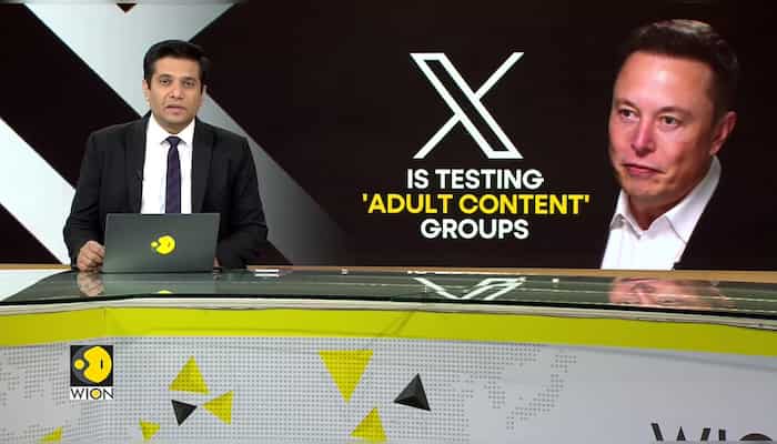 Elon Musk's X is testing 'adult content' groups for users: Report
