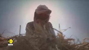 India suffers heatwaves that break human survivability limit