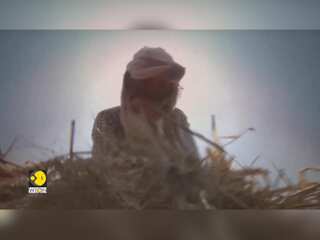 India suffers heatwaves that break human survivability limit