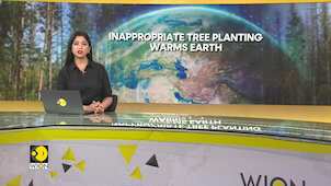 Planting trees in wrong places could lead to global warming: Study