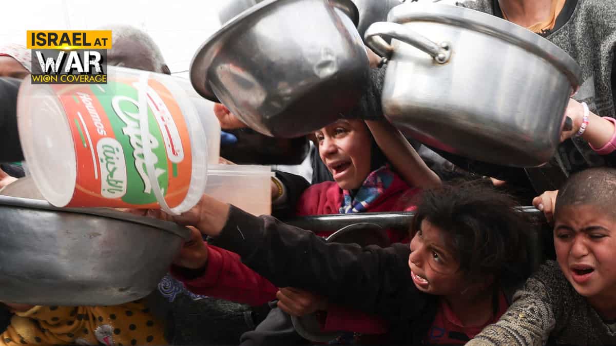 Five killed in Gaza aid delivery chaos, several hit by moving trucks: Medics Five killed in Gaza aid delivery chaos, several hit by moving trucks: Medics