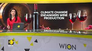 Climate change endangers wine production worldwide