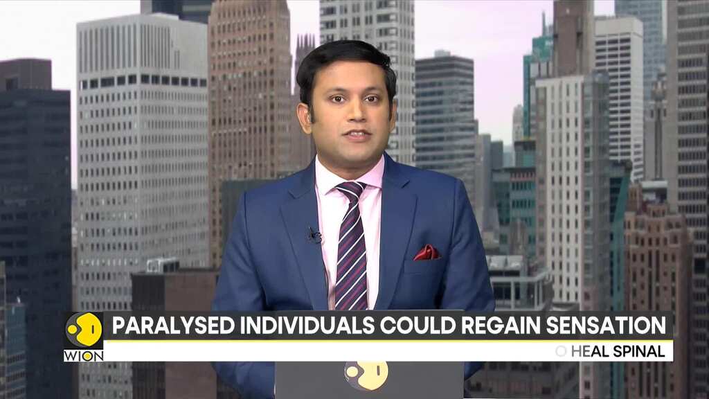 Experimental stem cell therapy shows promise for paralysed individuals