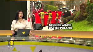 Poland: Strong wind kills 5, fallen trees block roads, wreck houses