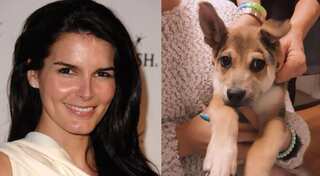 ‘Law And Order’ actress Angie Harmon reveals delivery person shot and killed her dog during parcel drop