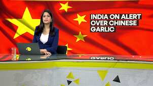 Gravitas | Is China smuggling poisonous garlic into India?