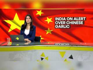 Gravitas | Is China smuggling poisonous garlic into India?