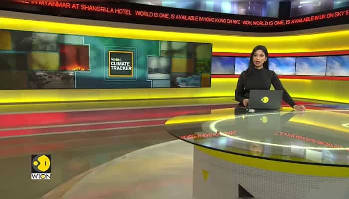 Kashmir: Nature lovers get a treat of flowers, Tulip Garden open for tourists