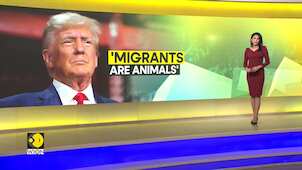 Former US President Donald Trump calls migrants 'animals'
