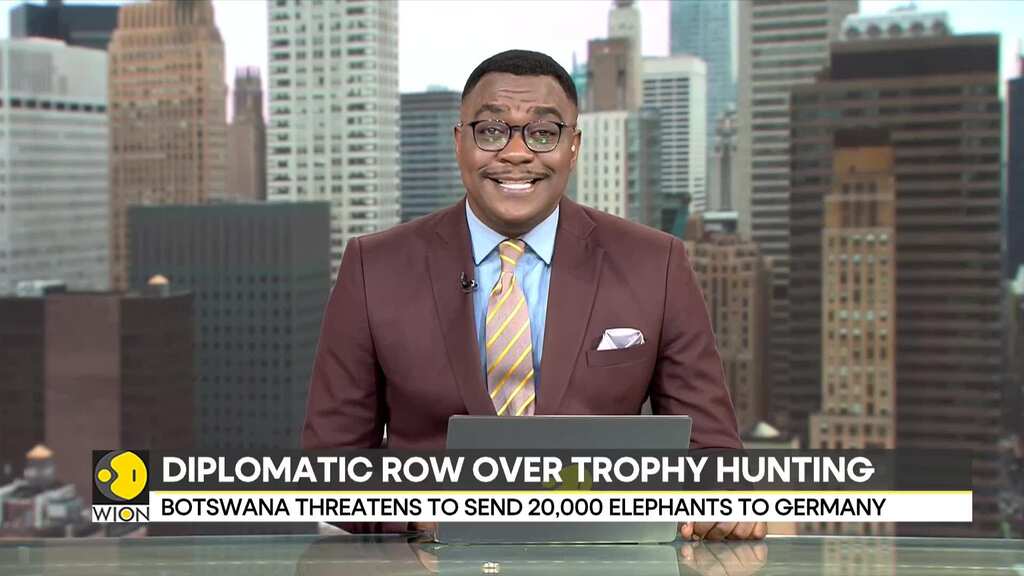 Botswana threatens to send 20,000 elephants to Germany in trophy hunting row
