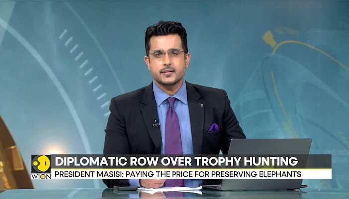 Diplomatic row over Trophy Hunting: Germany proposes Trophy import ban