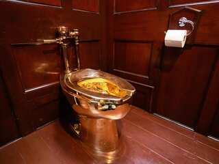 UK: Man pleads guilty to stealing toilet made of 18-carat gold worth $6 million from Blenheim Palace