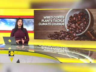 Why are researchers wiring coffee plants? 20 Arabiaca coffee plants being monitored