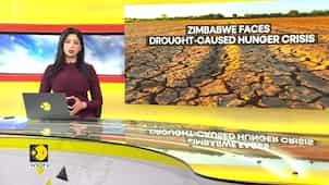 Southern Africa hit by climate change, Zimbabwe declares drought a natural disaster?