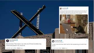 Back from the dead: Elon Musk's X sparks confusion with surprise return of free blue ticks