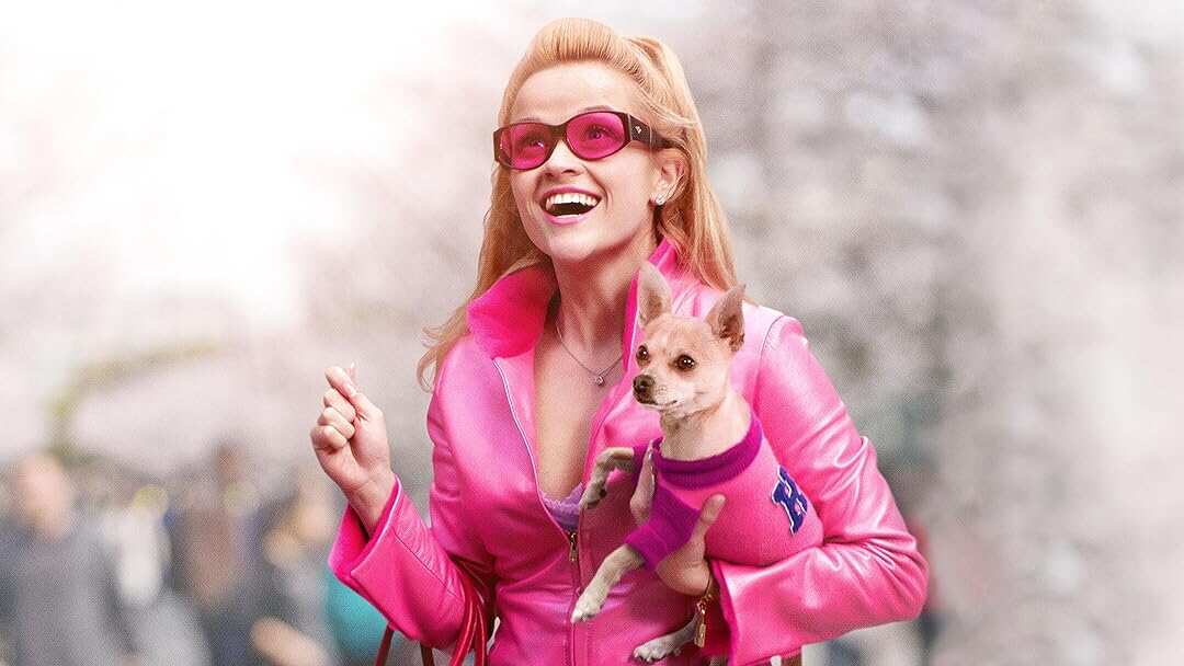 Reese Witherspoon to bring back Legally Blonde in a spinoff TV series