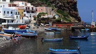 An Italian island is giving away goats for free. The catch? Well, you have to catch them