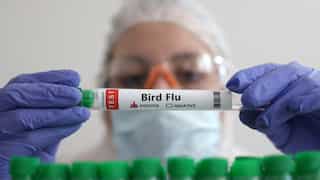 US CDC issues advisory for bird flu crisis in country. Here's look at the precautions